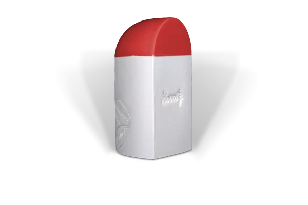 Borne mini Biarritz – Image 6