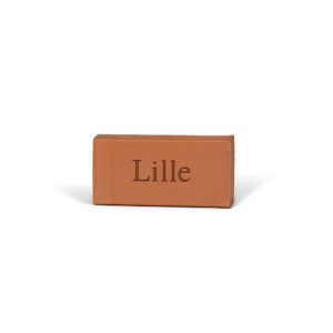 Magnet Lille