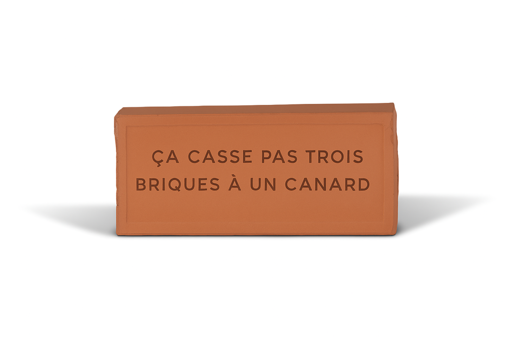 Brique Ça casse 3 briques à un canard