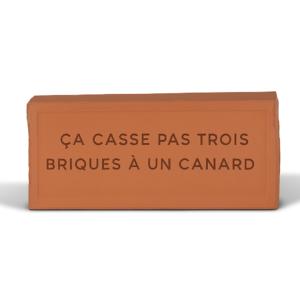 Brique Ça casse 3 briques à un canard