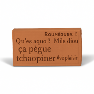 Brique A Toulouse on dit