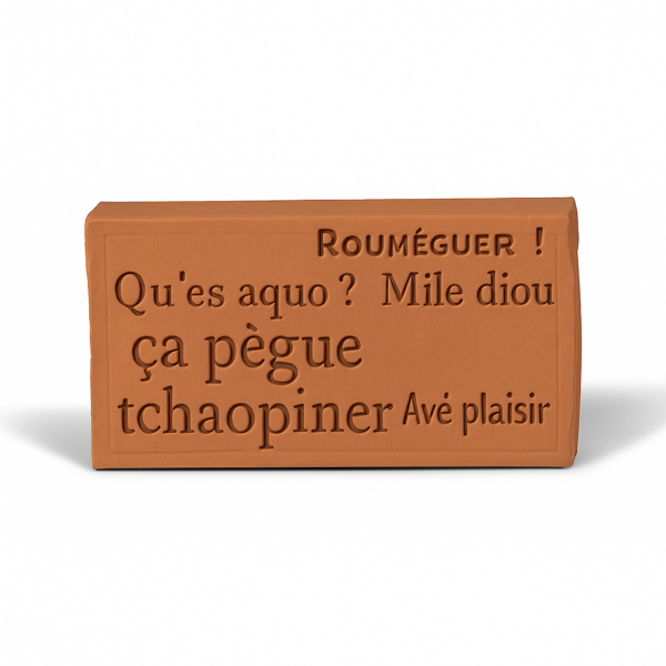 Brique A Toulouse on dit